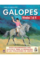 Galopes Nivel 1 al 4